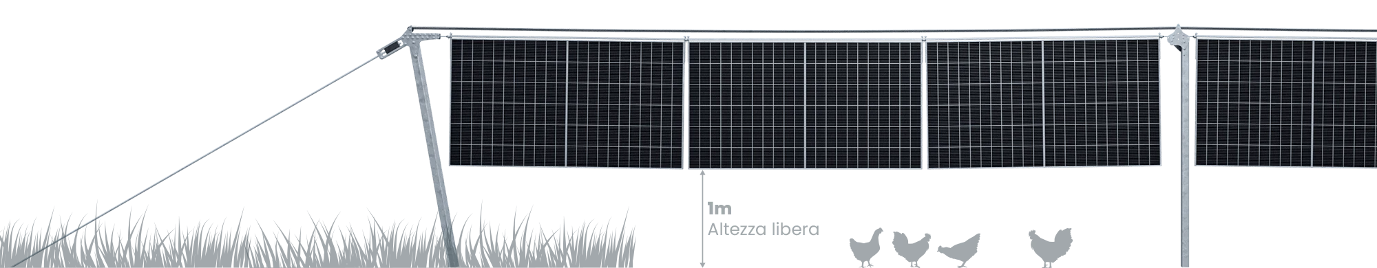 Vecon-verde-luce-svantaggi-area-utilizzazione-mobile-pollo Modello 3D di VeCons Agri-PV per l´utilizzo del suolo